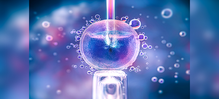ivf-blog.html